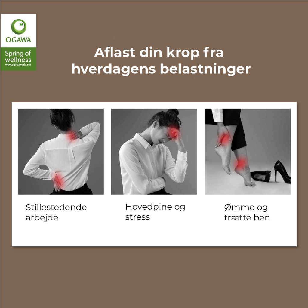 OGAWA thông minh Vogue Prime OG5568